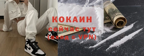 бошки Горняк